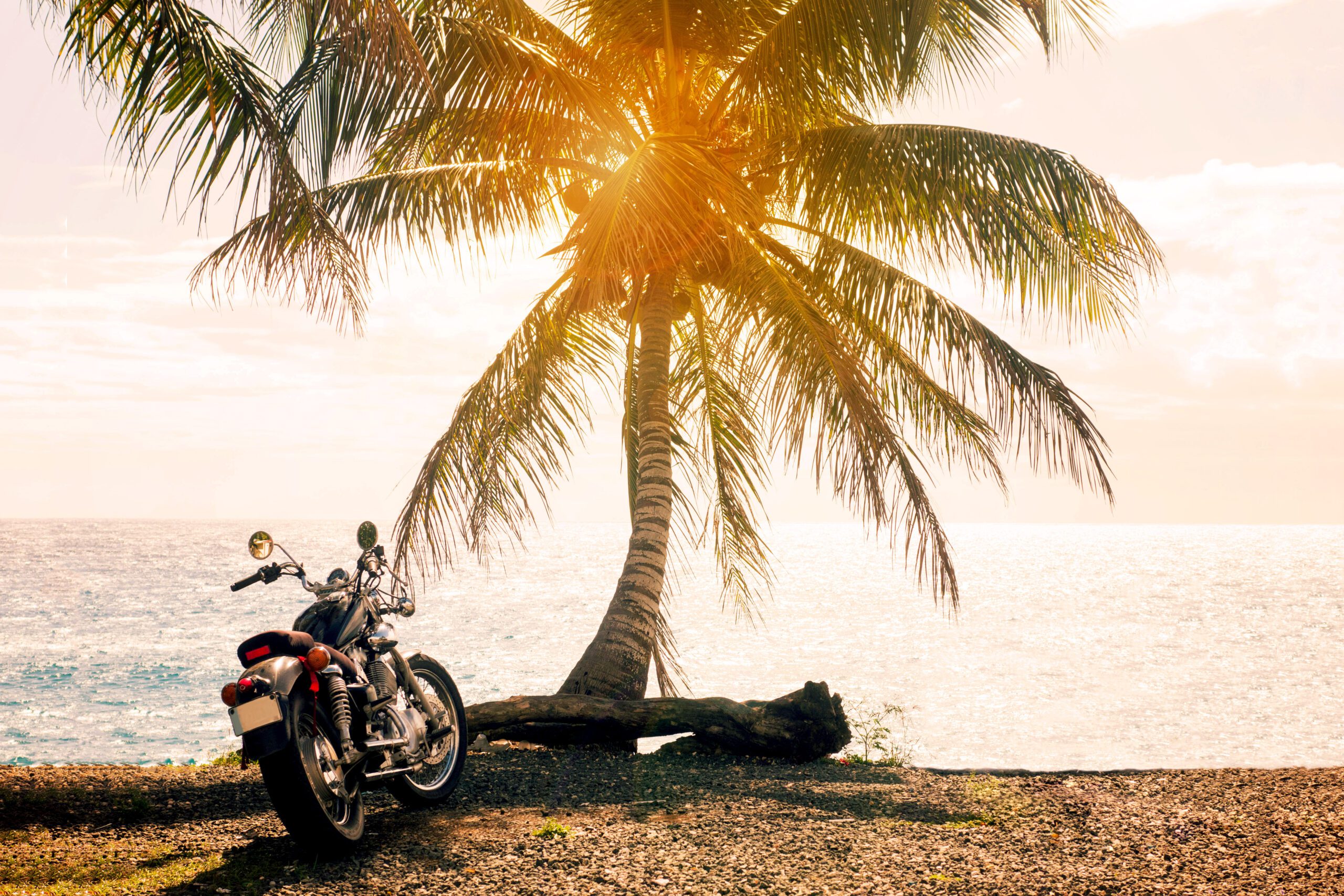 Riding Safe: Navigating Motorcycle Insurance in Florida