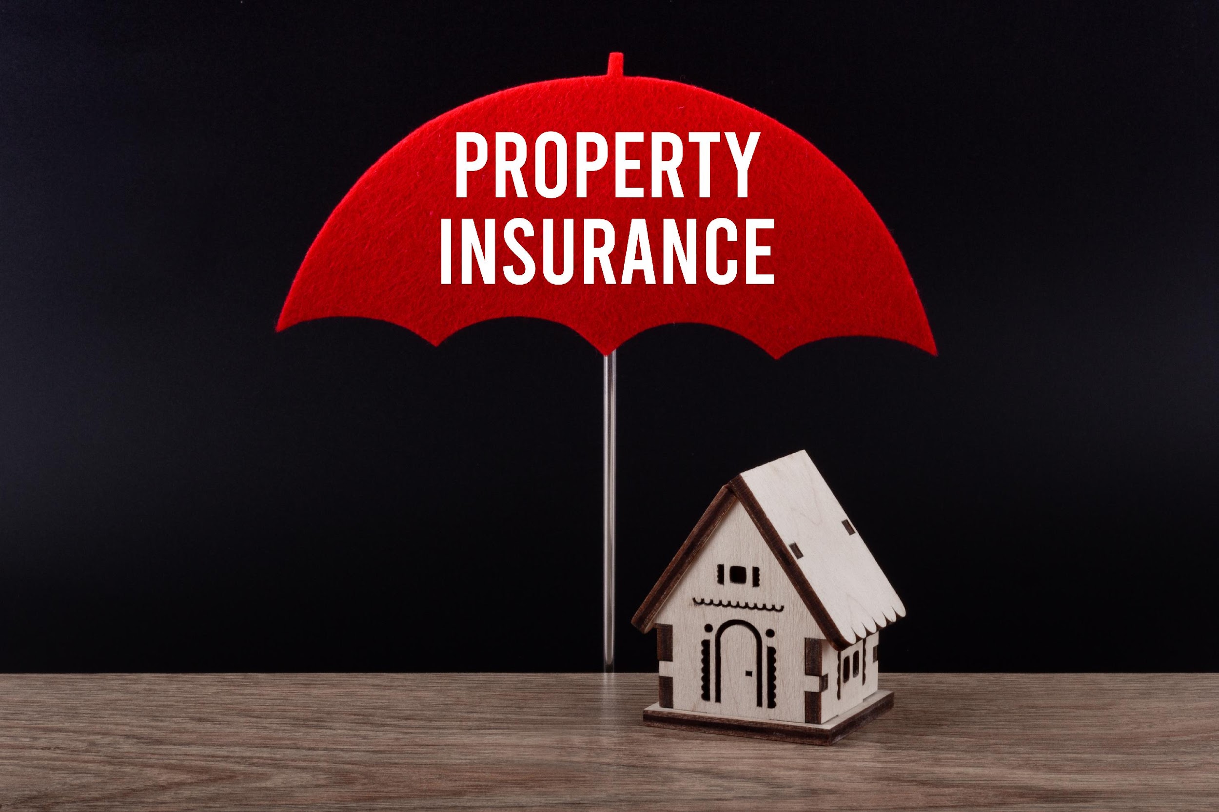 Property Insurance Florida