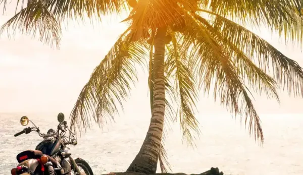 AdobeStock_214002167-scaled-1