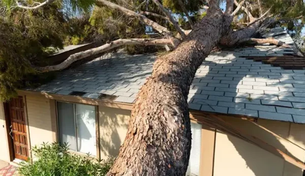 house-damaged-1-e1680052055775 house-damaged-1-e1680052055775